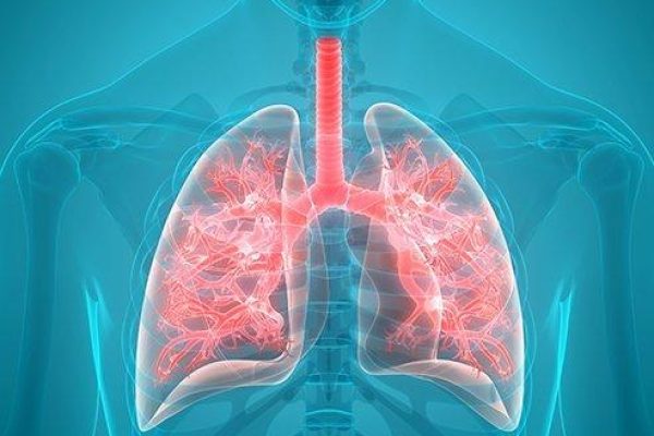 Breathing Easier: Expert Care for Respiratory Health and Lung Disease Management